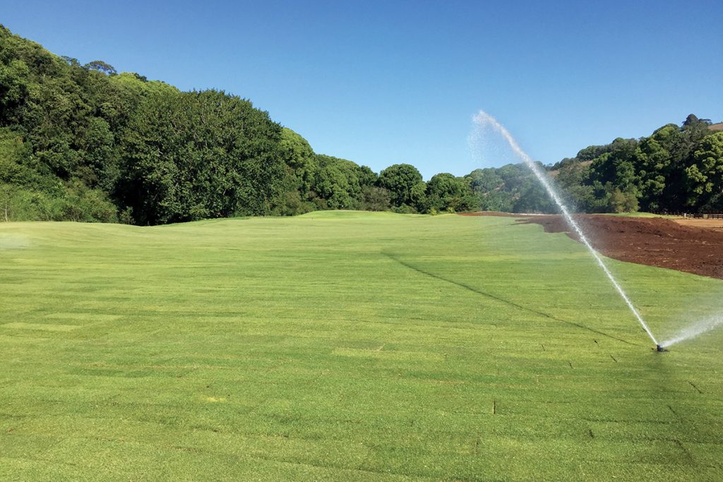 Case Study | Teven Valley Golf Course Turf Project