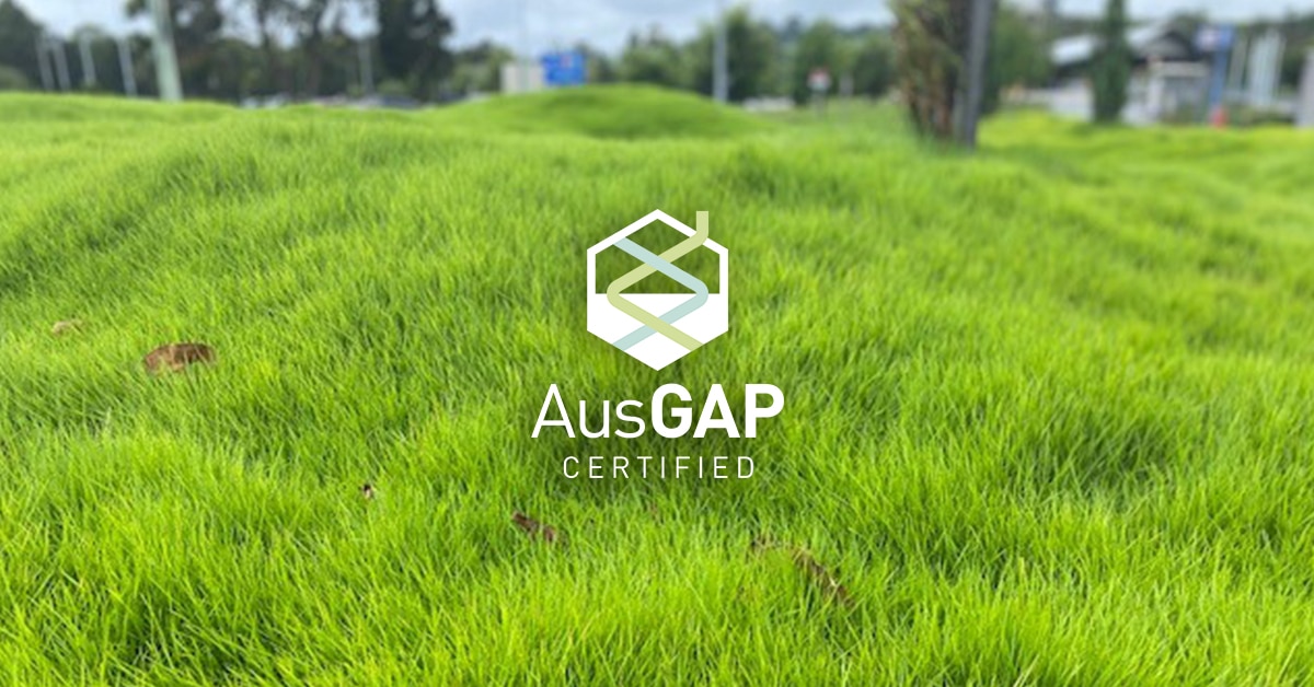 The advantages of AusGAP certified turf in commercial environments